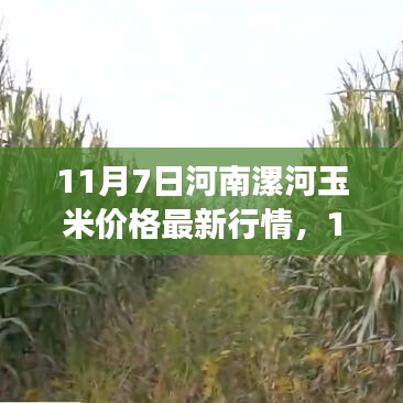 眉飞色舞 第52页