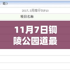 11月7日铜陵公园道房产最新房价深度解析与综合评测报告
