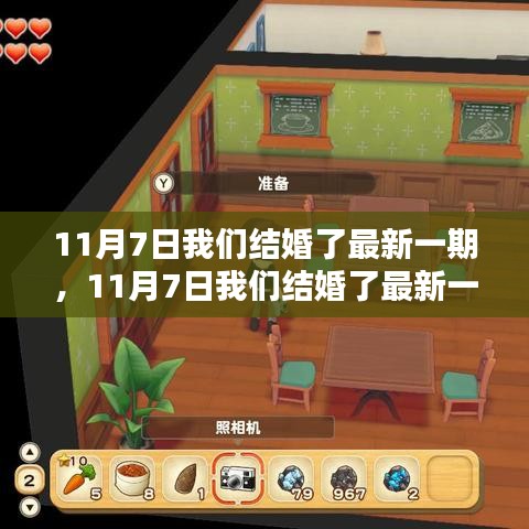 11月7日我们结婚了最新一期全面评测与介绍