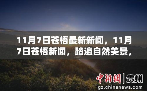 培训课程 第462页