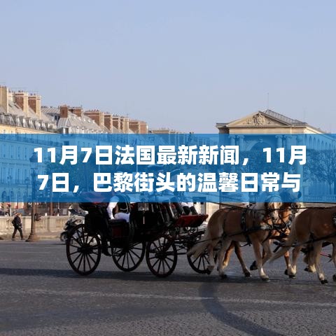 资料下载 第463页