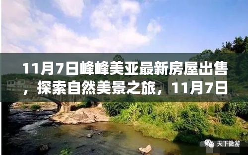 废寝忘食 第47页