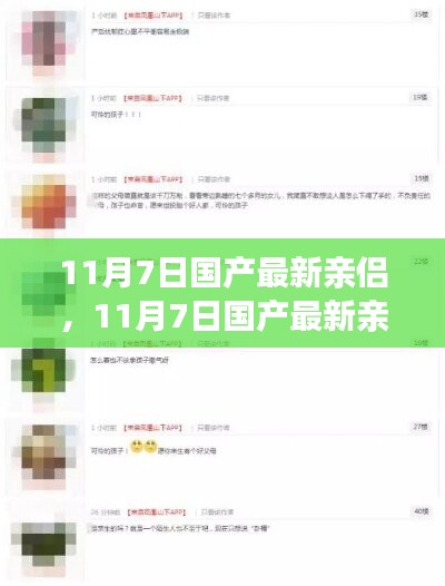 关于国产最新亲侣现象的深度分析与个人观点探讨（涉黄警示）