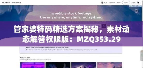 目不转睛 第45页