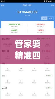 管家婆精准四肖四码特供，权限版安全评估方案MUJ628.48