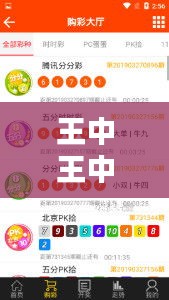 王中王中特：最新研究揭示户外版PFY674.98定义详解