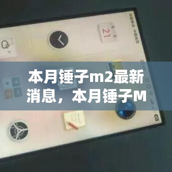 手舞足蹈 第41页