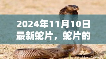 目不转睛 第38页