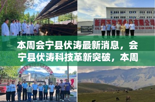 关于我们 第413页
