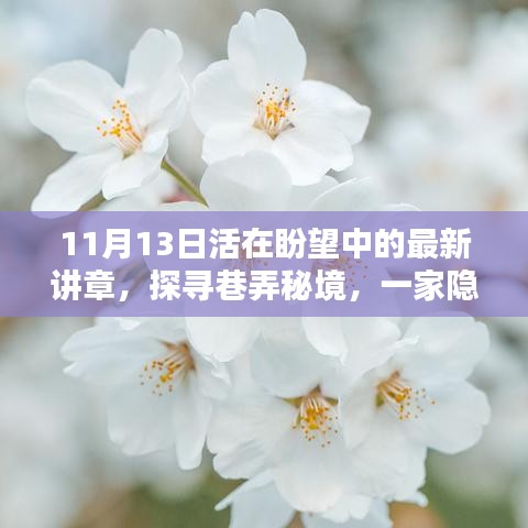探寻巷弄秘境，特色小店新篇章——活在盼望中的11月13日讲章