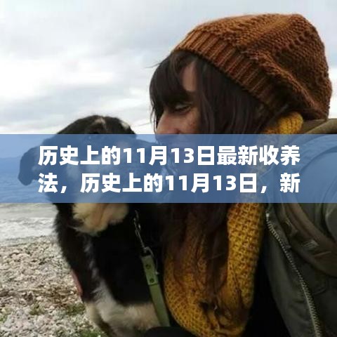 历史上的新收养法，心灵之旅与探寻自然美景的奇妙探险之旅