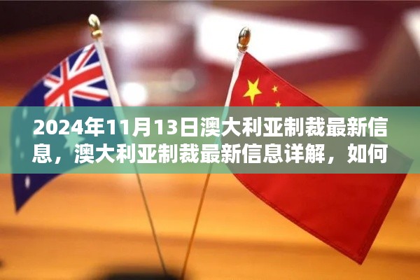 2024年澳大利亚制裁最新信息详解及应对指南（初学者与进阶用户必备）