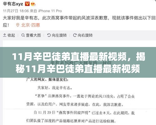 揭秘辛巴徒弟直播新动向，三大看点深度剖析11月最新视频