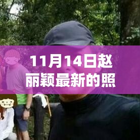 赵丽颖最新照片曝光，11月14日的璀璨瞬间风采展露无遗