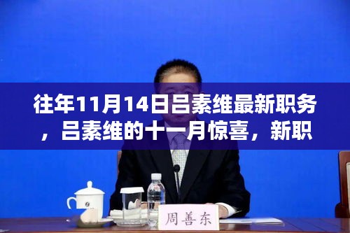 吕素维十一月惊喜揭晓，新职务下的温馨日常