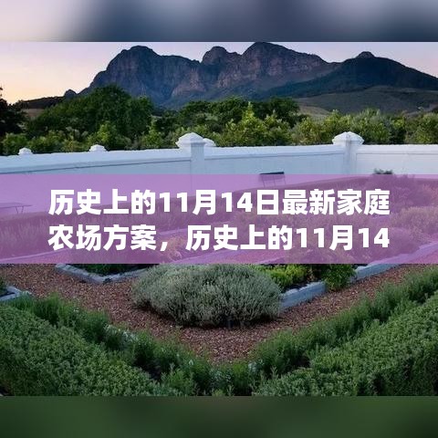 橘虞初梦 第30页