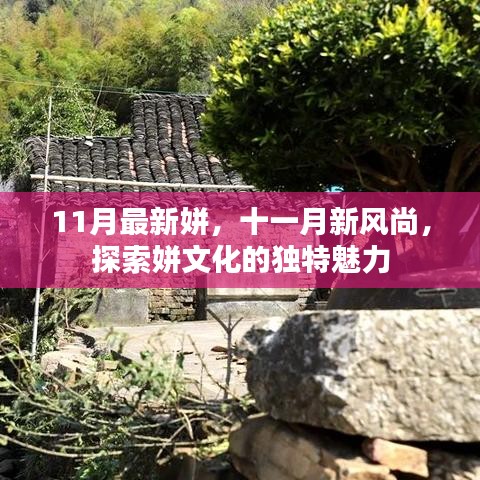十一月新风尚，探索姘文化的独特魅力