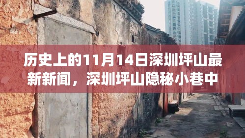花开无言 第30页