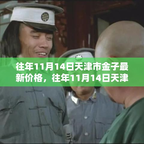 往年11月14日天津市金子价格回顾与趋势分析，最新价格及展望