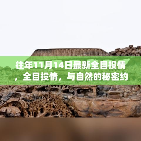 往年11月14日全目投情之旅，与自然秘密的约会，心灵远离尘嚣之旅