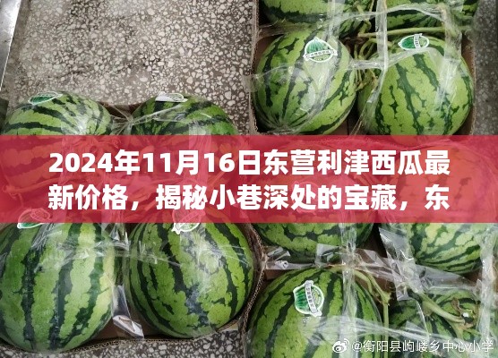 对答如流 第27页