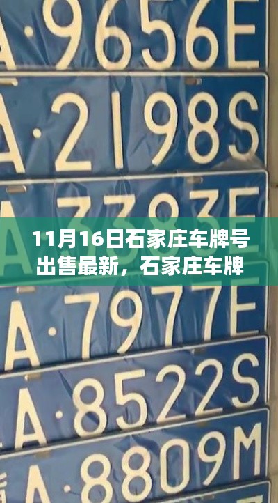 admin 第27页