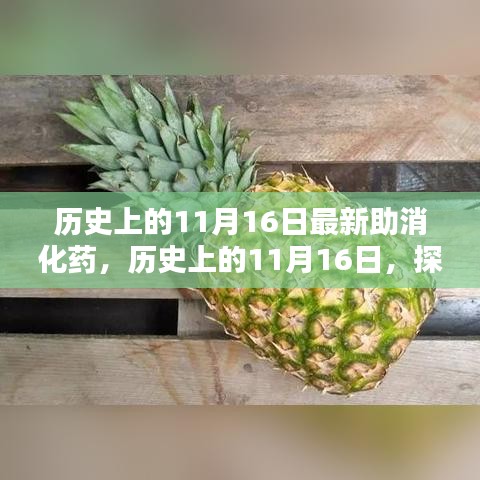 走马观花 第25页