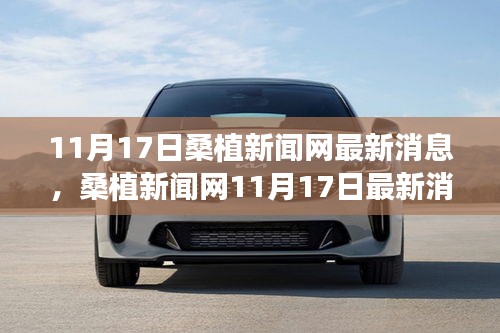 花开无言 第27页