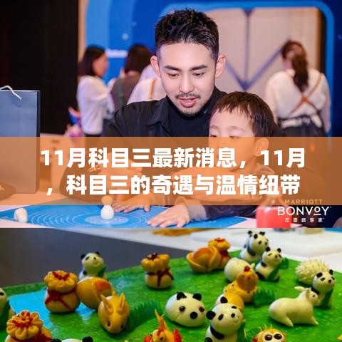联系我们 第333页