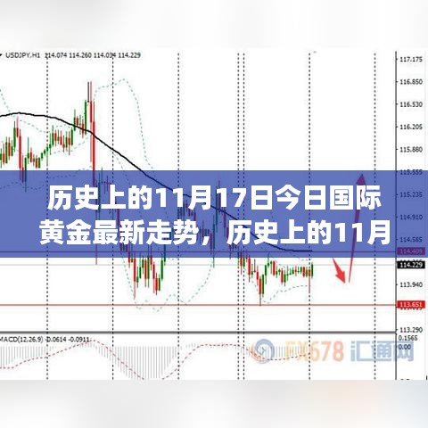 历史上的黄金走势回顾与今日黄金市场展望，聚焦国际黄金走势分析（最新更新）