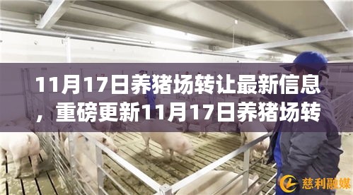 张牙舞爪 第24页