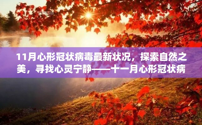 十一月心形冠状病毒旅行新篇章，探索自然之美，心灵宁静之旅的当下状况