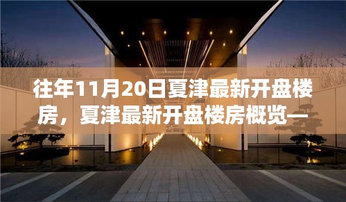 往年11月20日夏津最新楼盘开盘信息一览，全面概览新楼盘动态