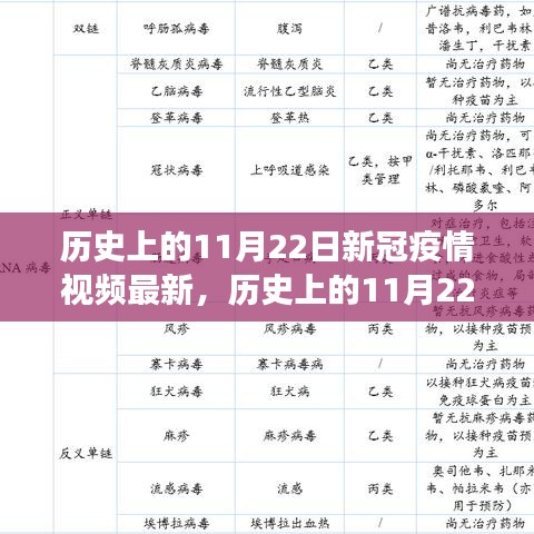 历史上的11月22日新冠疫情视频更新，多维度解读疫情动态