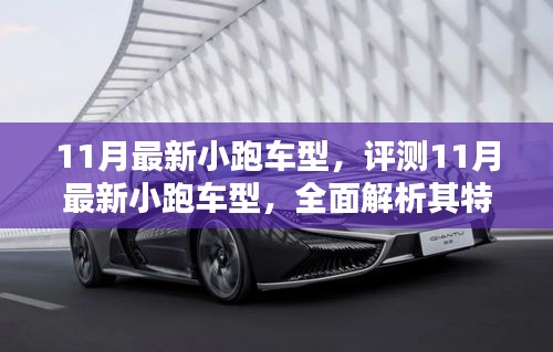 最新评测，全面解析11月小跑车型特性、使用体验与目标用户群体