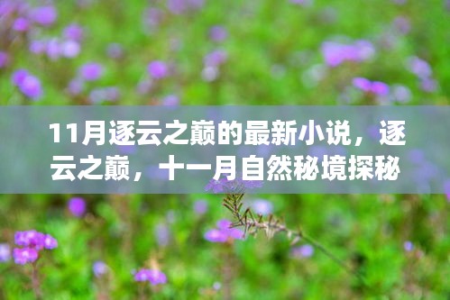 逐云之巅，十一月自然秘境探秘之旅，寻找内心平静的奇妙旅程