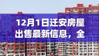 花开无言 第12页