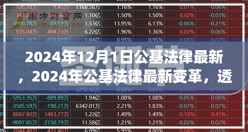 透视与反思，2024年公基法律最新变革深度解读