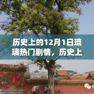 关于我们 第254页