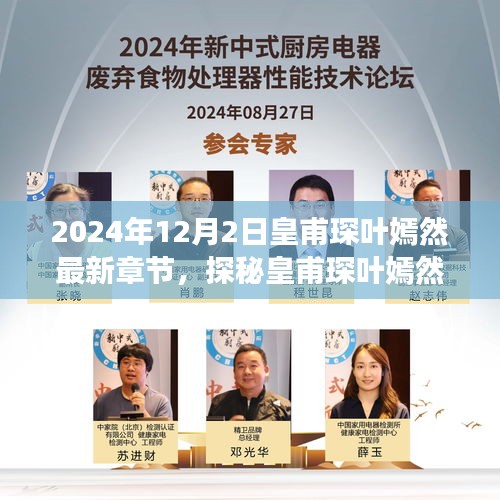 联系我们 第233页