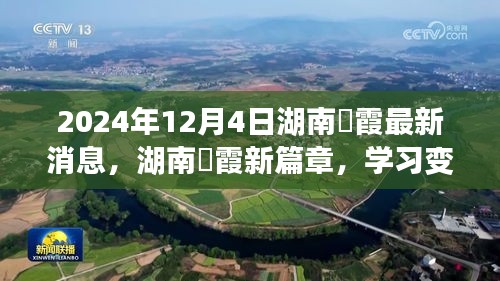 资料下载 第230页
