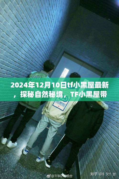 jifeigoutiao 第4页