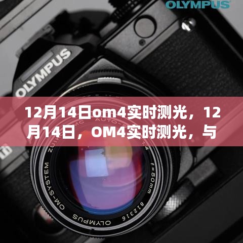 文质彬彬 第4页