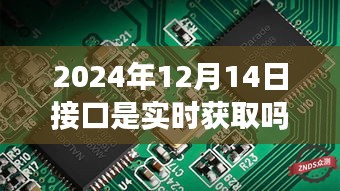 实时数据奇遇，冬日暖阳下的接口故事，揭秘实时获取数据的奥秘