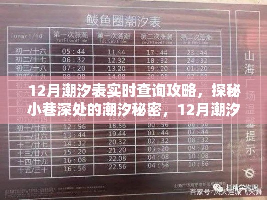 feiyipuhuo 第3页