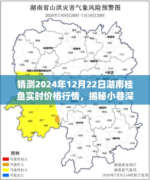 关于我们 第180页
