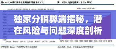 独家分销弊端揭秘，潜在风险与问题深度剖析