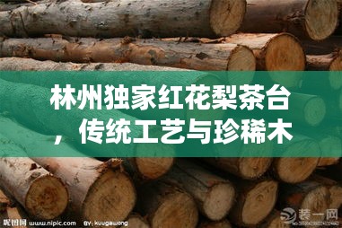 标新创异 第2页