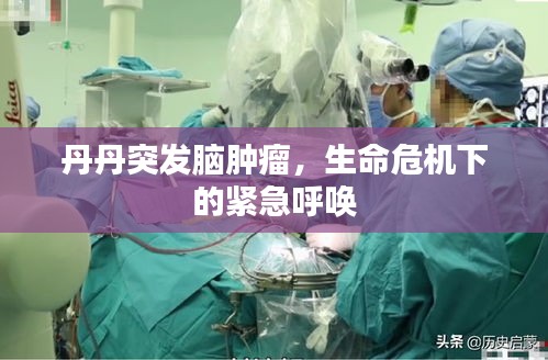 逸兴遄飞 第2页