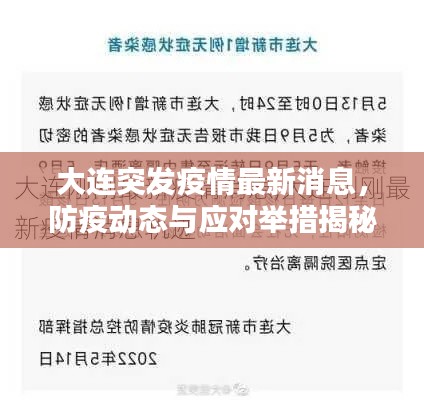 大连突发疫情最新消息，防疫动态与应对举措揭秘